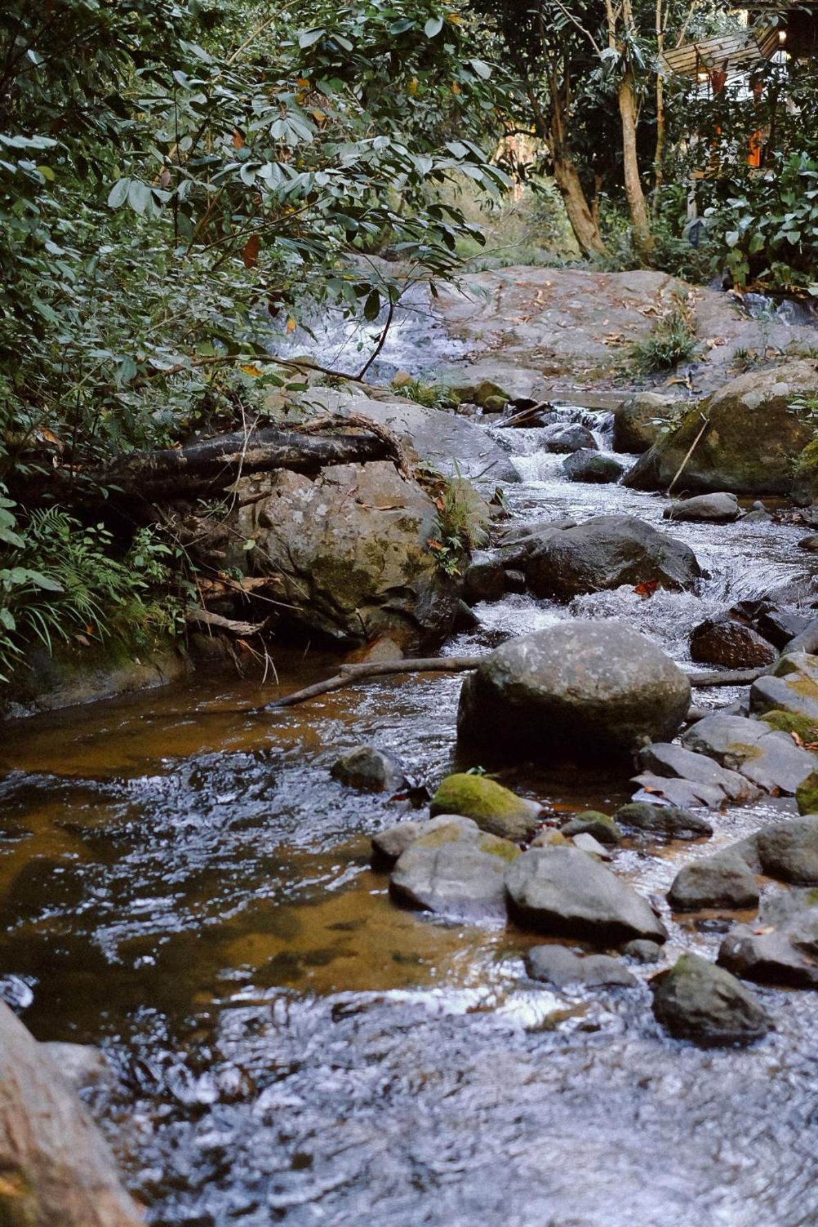 Bee Forest Ban Pok Nai エクステリア 写真
